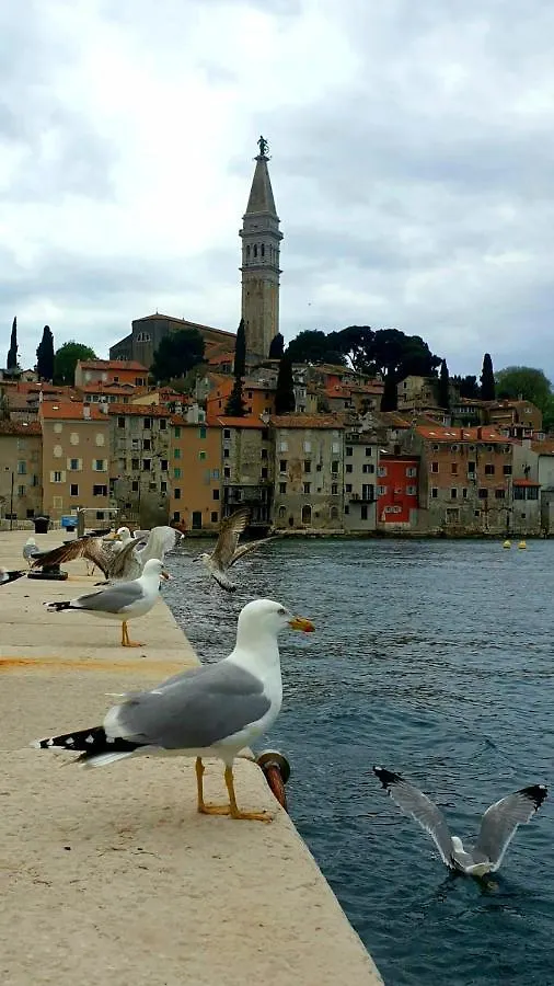 Here Comes The Sun Apartment Rovinj 0*,